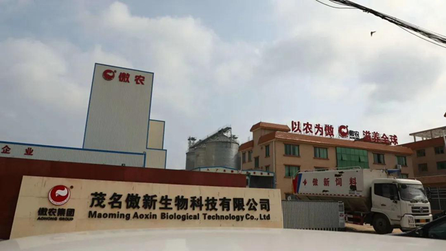 熟妇丰满多毛的大隂户