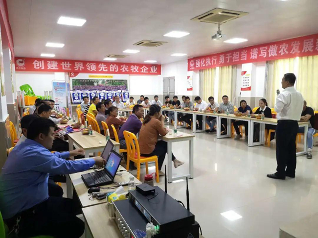 熟妇丰满多毛的大隂户