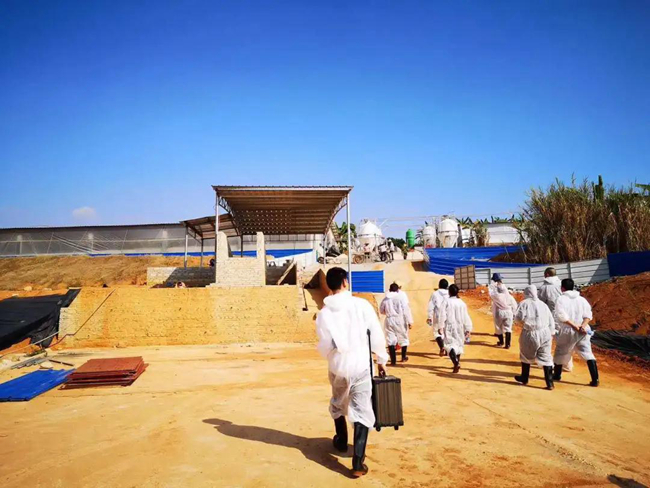 熟妇丰满多毛的大隂户