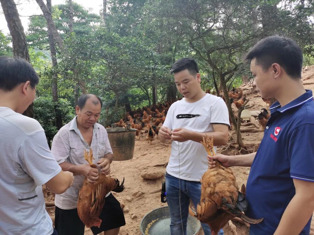 熟妇丰满多毛的大隂户