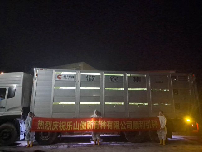 熟妇丰满多毛的大隂户