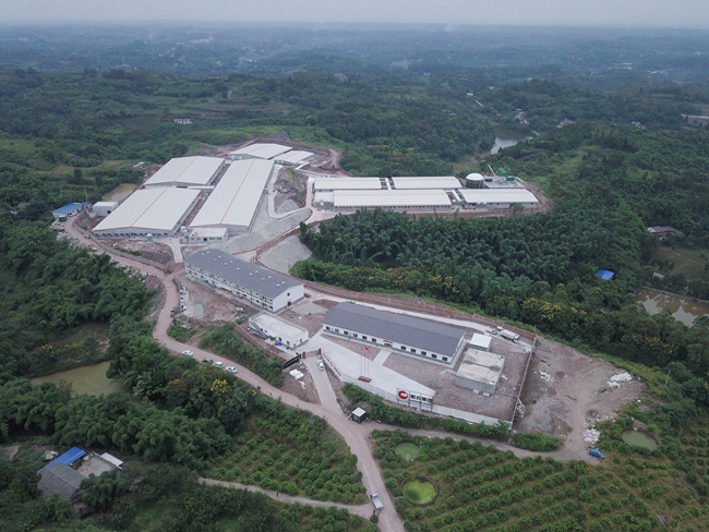 熟妇丰满多毛的大隂户