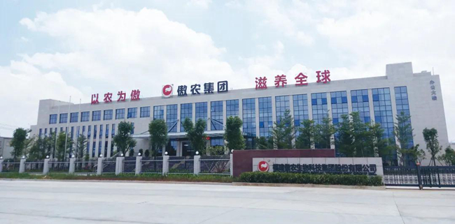 熟妇丰满多毛的大隂户