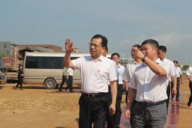 熟妇丰满多毛的大隂户