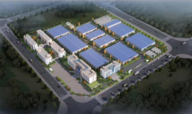 熟妇丰满多毛的大隂户