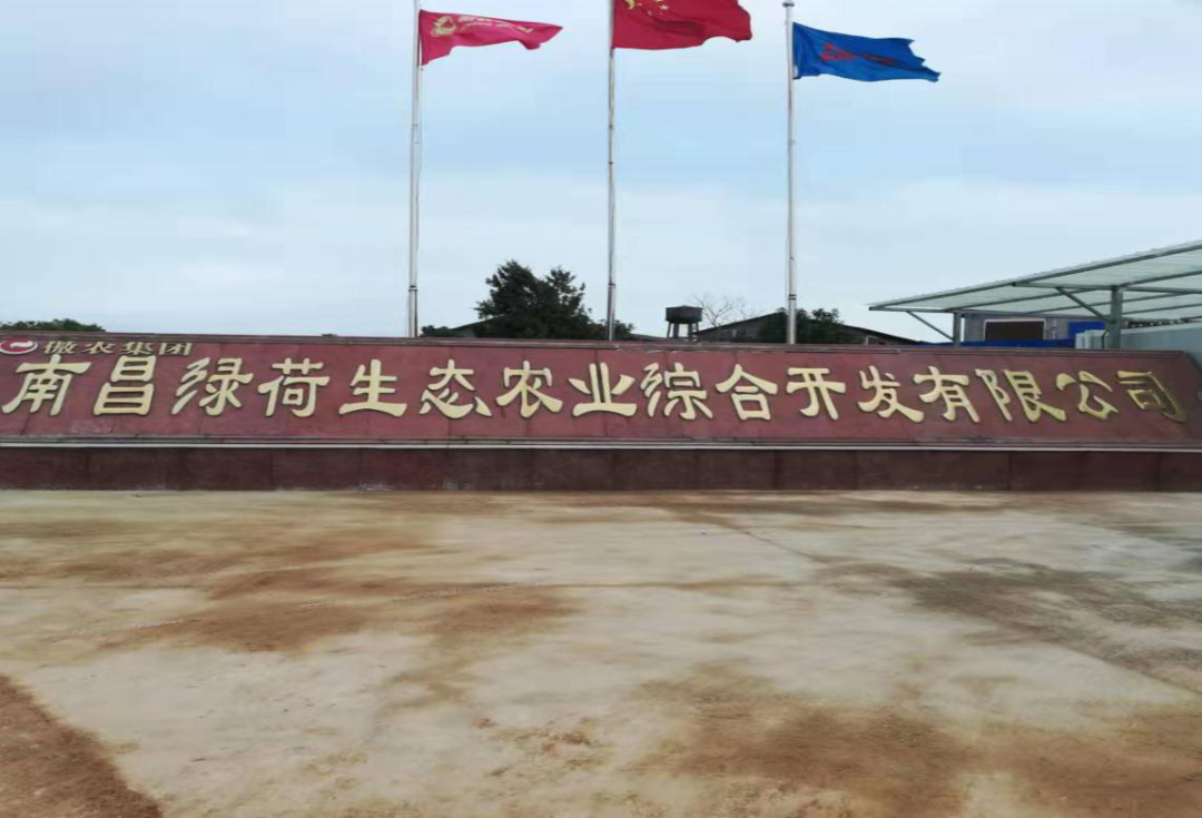 熟妇丰满多毛的大隂户