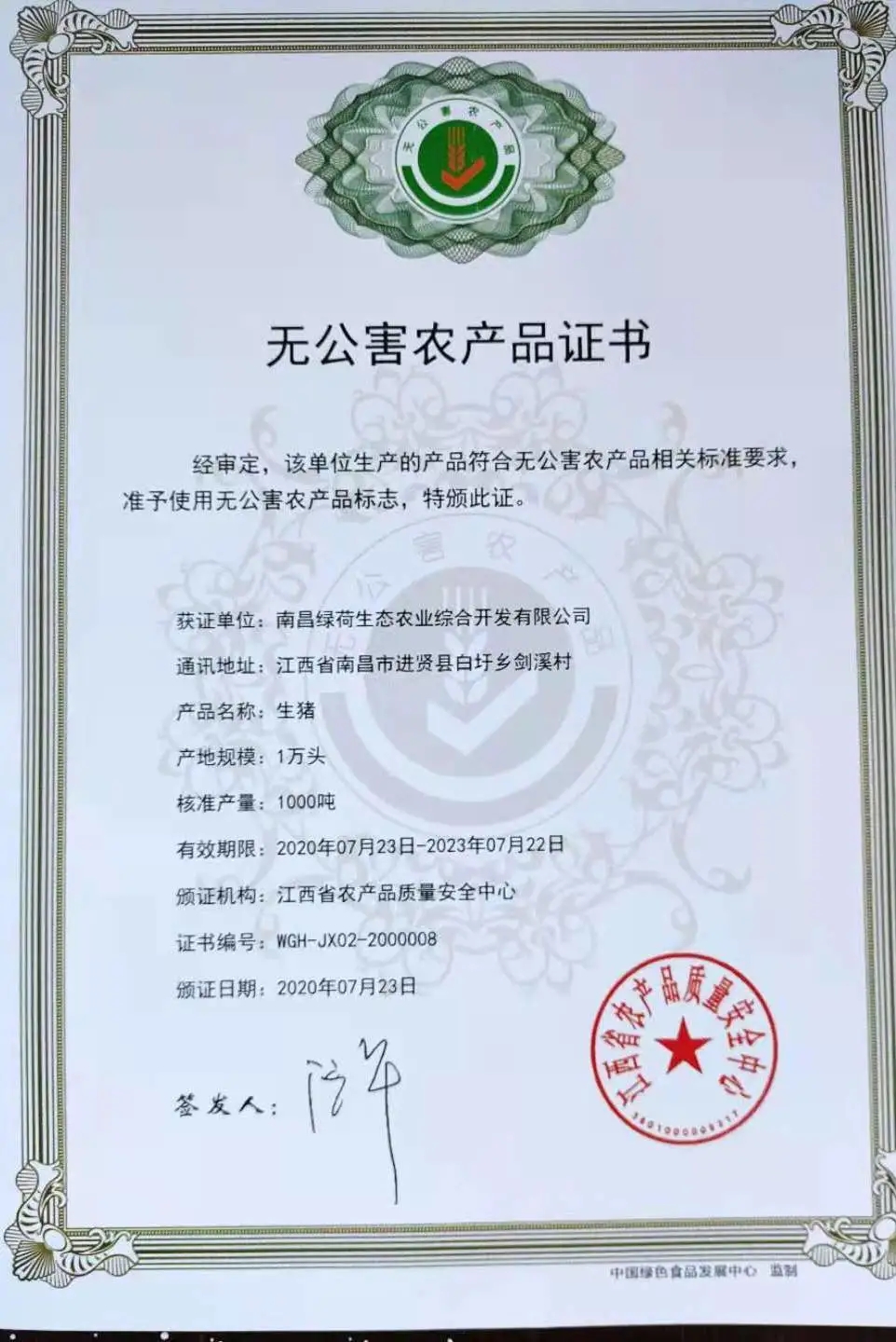 熟妇丰满多毛的大隂户