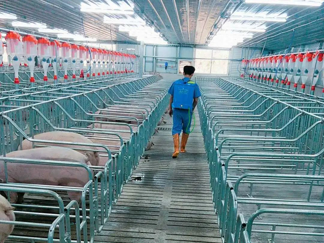 熟妇丰满多毛的大隂户