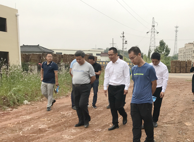 熟妇丰满多毛的大隂户