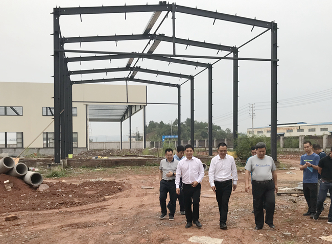 熟妇丰满多毛的大隂户