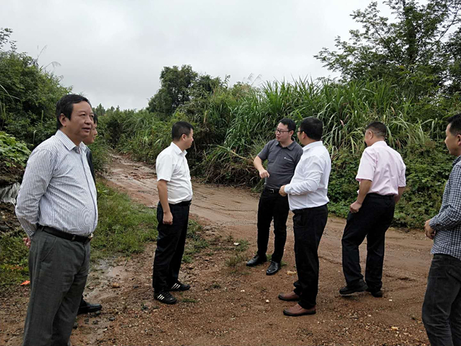 熟妇丰满多毛的大隂户