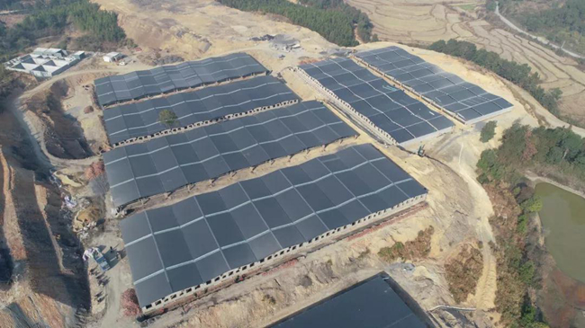 熟妇丰满多毛的大隂户