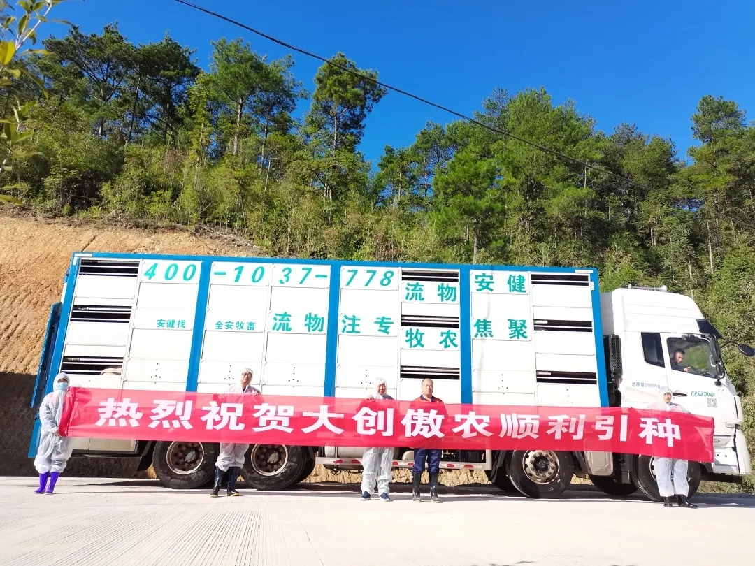 熟妇丰满多毛的大隂户