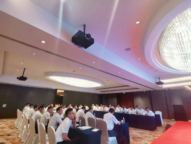 熟妇丰满多毛的大隂户