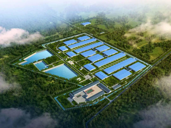 熟妇丰满多毛的大隂户