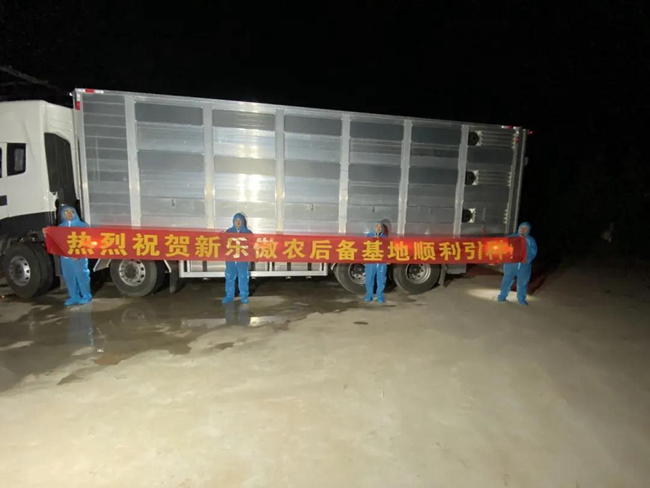 熟妇丰满多毛的大隂户