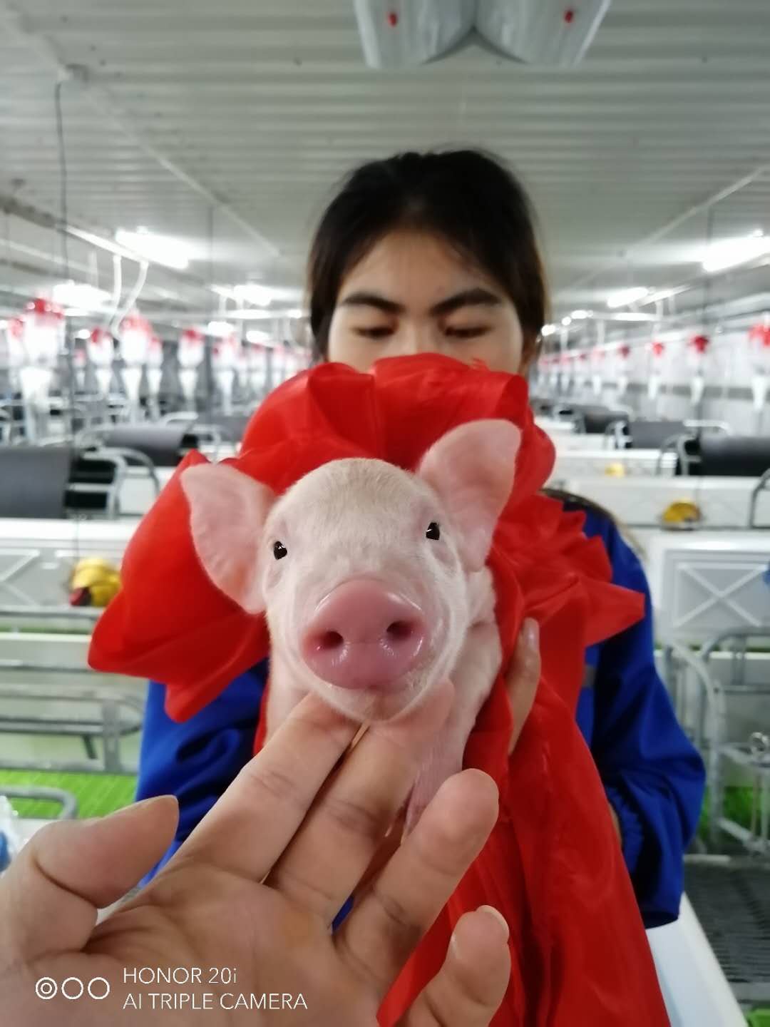 熟妇丰满多毛的大隂户