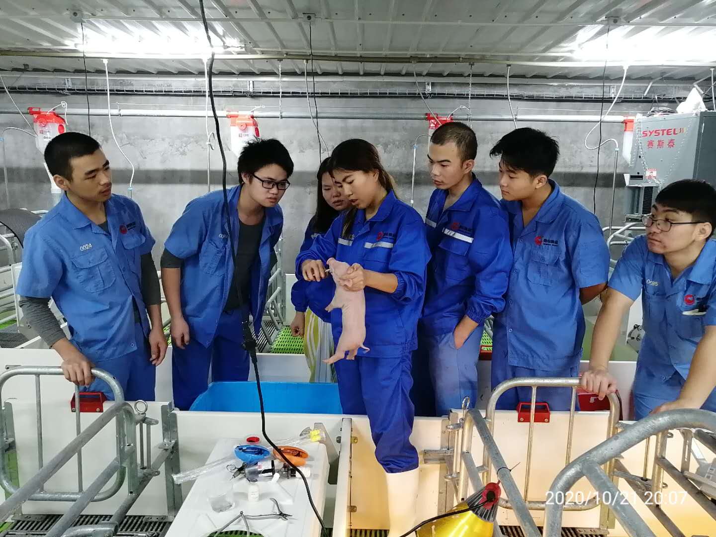 熟妇丰满多毛的大隂户