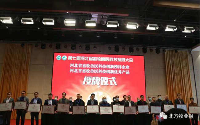 熟妇丰满多毛的大隂户