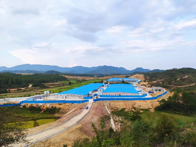 熟妇丰满多毛的大隂户