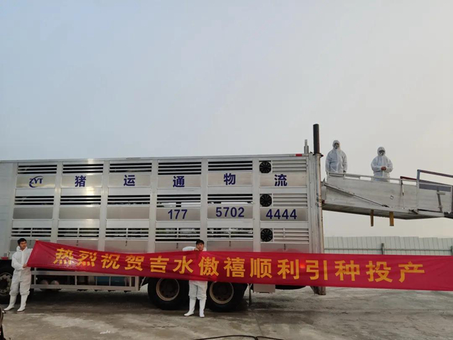 熟妇丰满多毛的大隂户