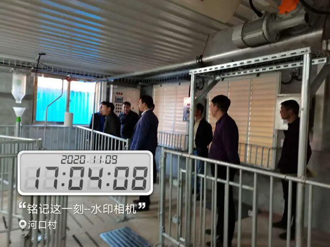 熟妇丰满多毛的大隂户