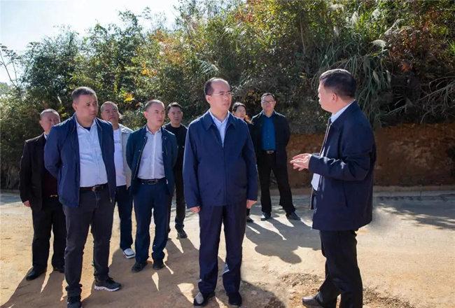 熟妇丰满多毛的大隂户