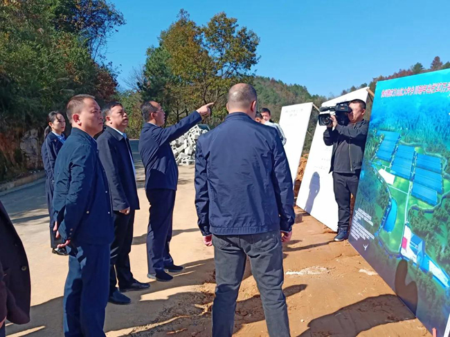 熟妇丰满多毛的大隂户