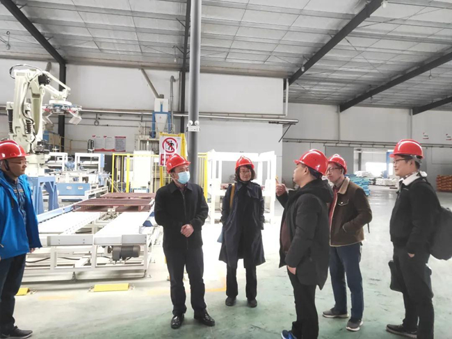 熟妇丰满多毛的大隂户