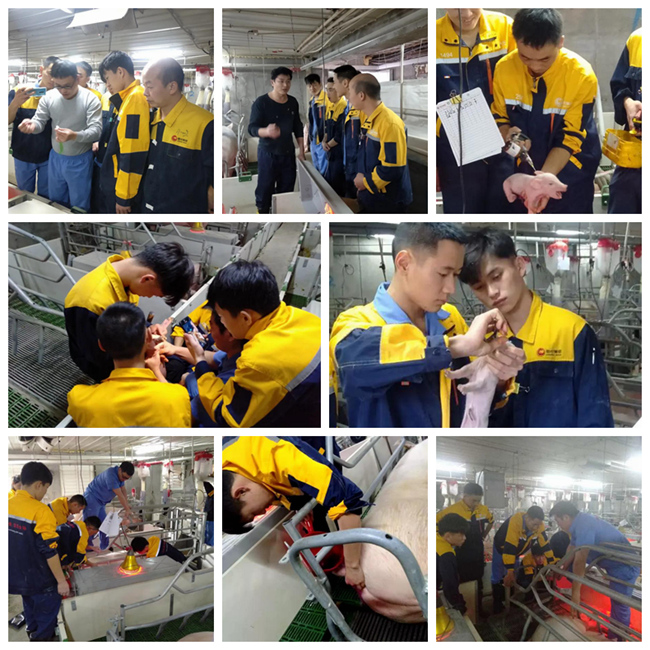 熟妇丰满多毛的大隂户