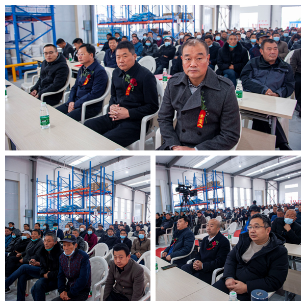 熟妇丰满多毛的大隂户