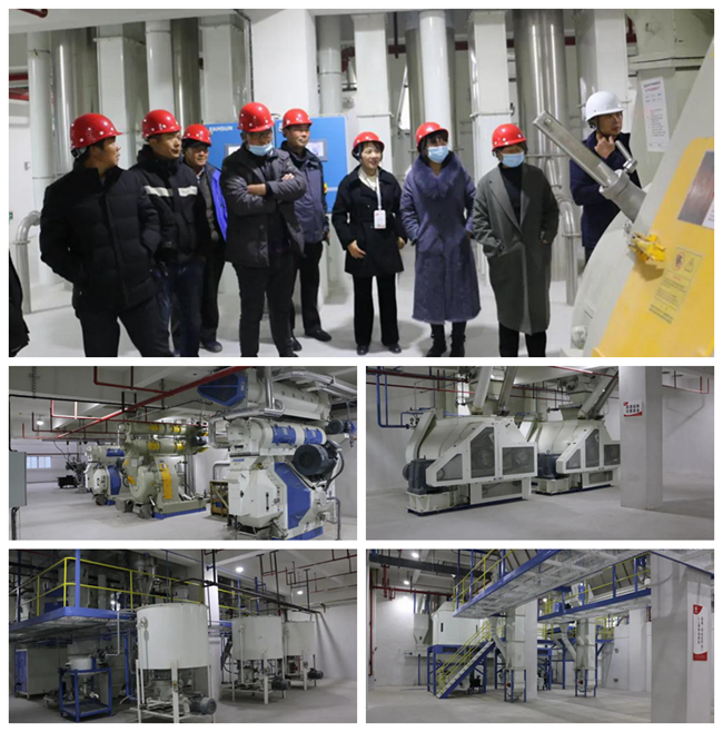 熟妇丰满多毛的大隂户