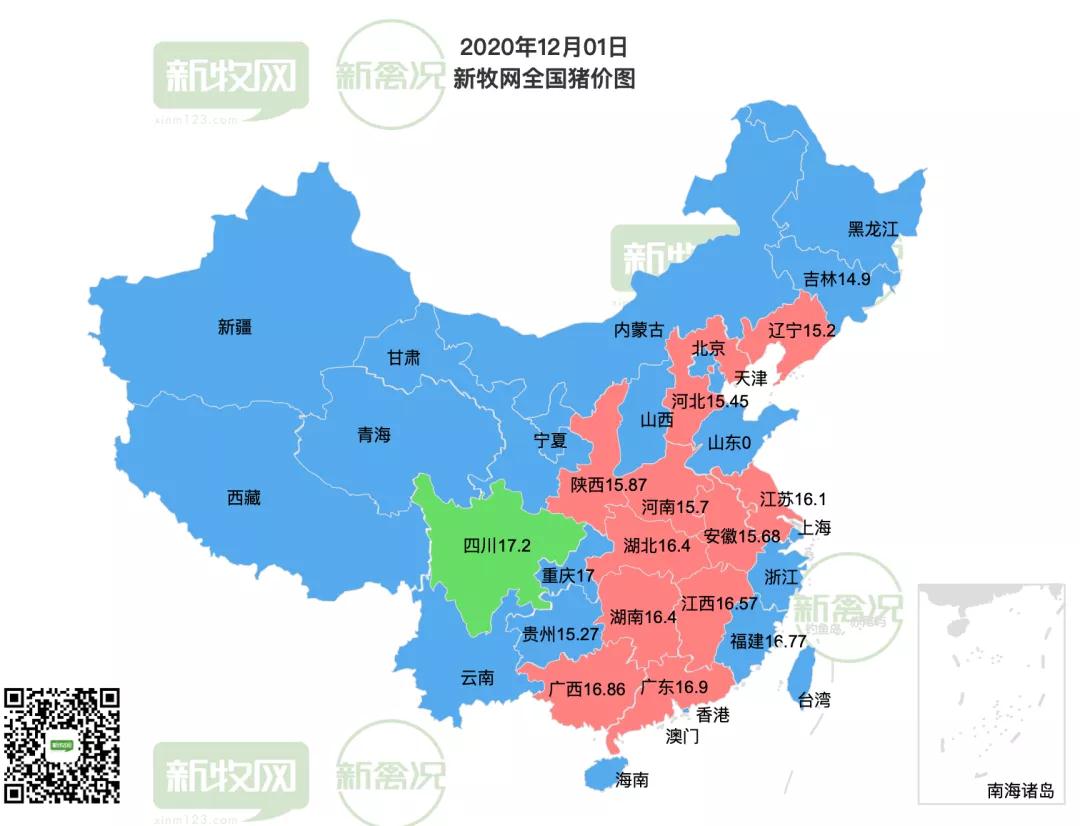 熟妇丰满多毛的大隂户