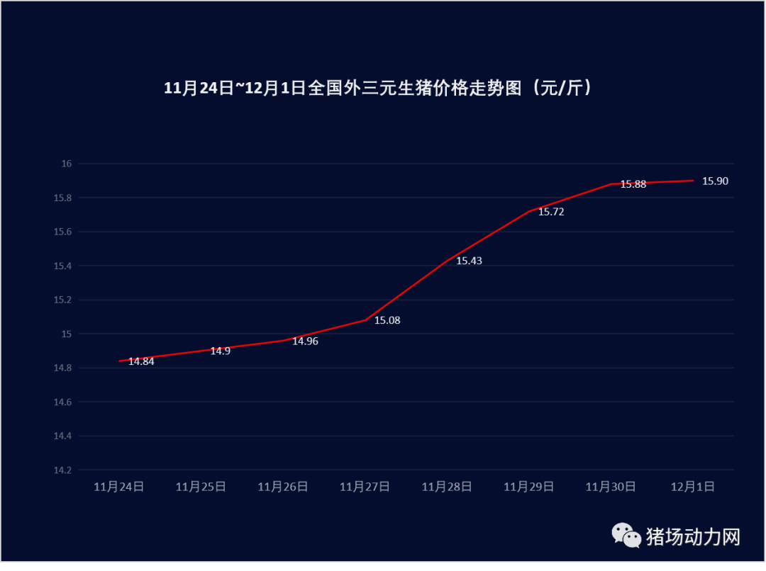 熟妇丰满多毛的大隂户