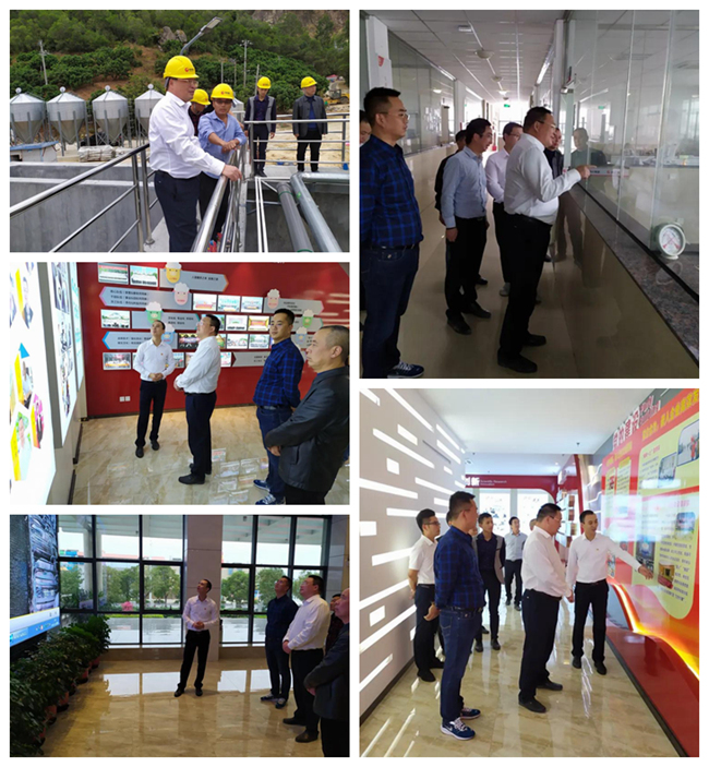 熟妇丰满多毛的大隂户