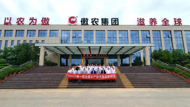 熟妇丰满多毛的大隂户