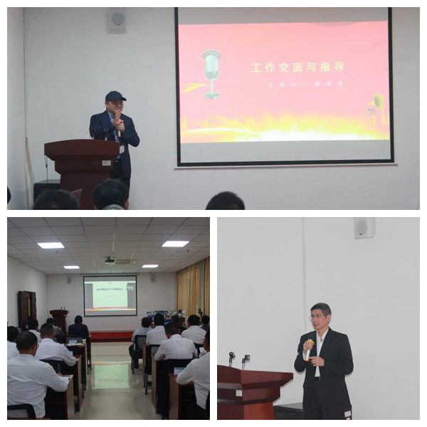 熟妇丰满多毛的大隂户