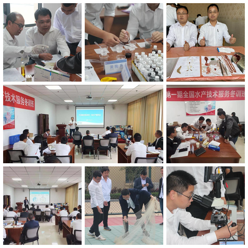 熟妇丰满多毛的大隂户