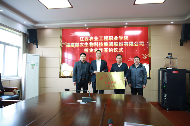 熟妇丰满多毛的大隂户