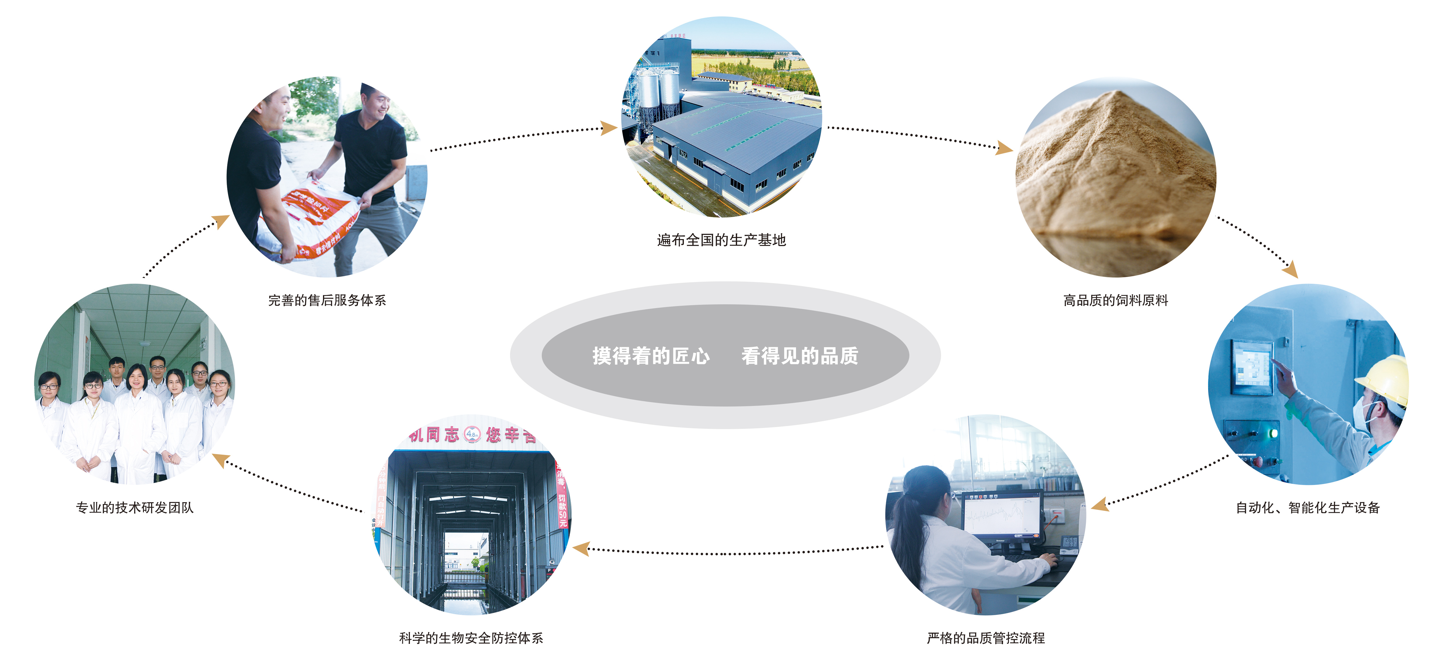 熟妇丰满多毛的大隂户
