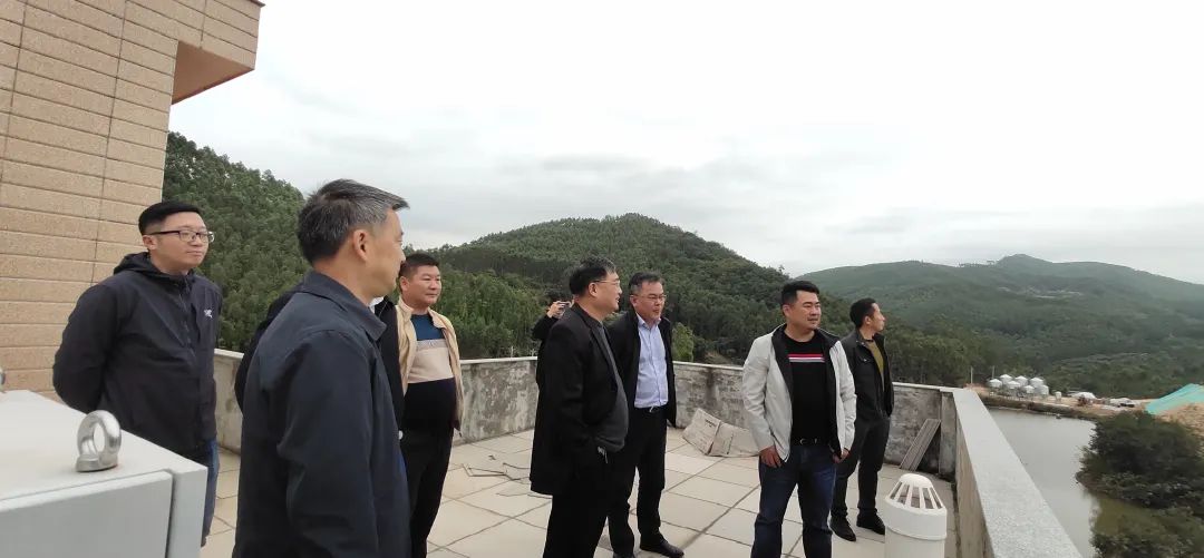 熟妇丰满多毛的大隂户