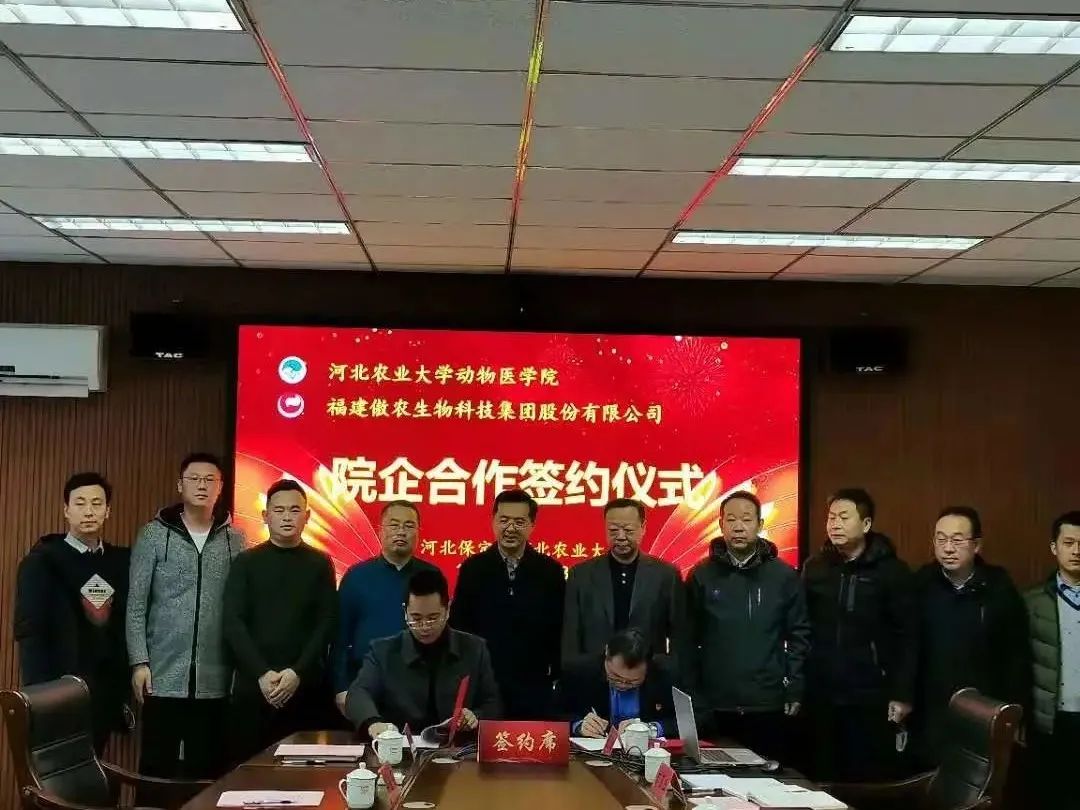 熟妇丰满多毛的大隂户