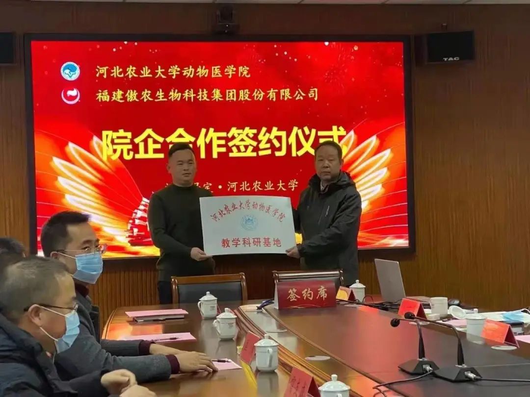 熟妇丰满多毛的大隂户