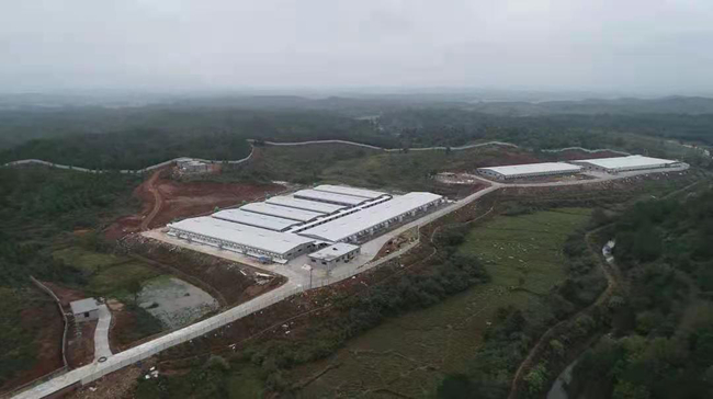 熟妇丰满多毛的大隂户