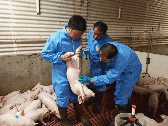 熟妇丰满多毛的大隂户