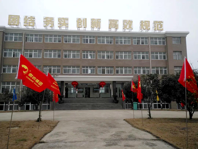 熟妇丰满多毛的大隂户