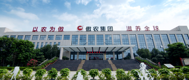 熟妇丰满多毛的大隂户