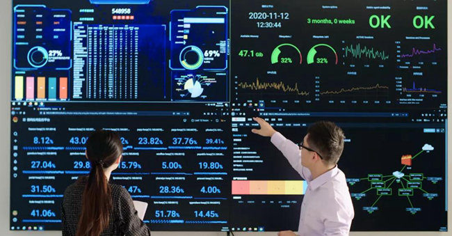 熟妇丰满多毛的大隂户