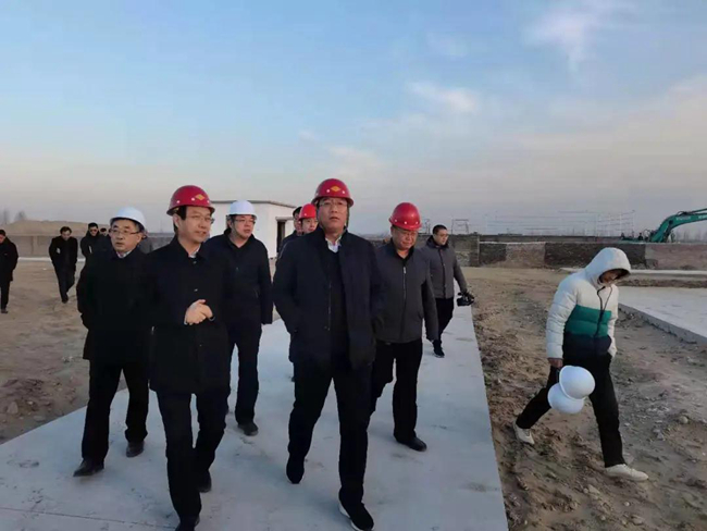 熟妇丰满多毛的大隂户