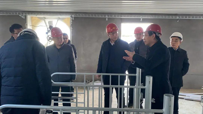 熟妇丰满多毛的大隂户